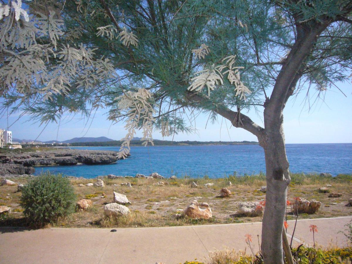 Holiday Home Randemar S'Illot  Kültér fotó